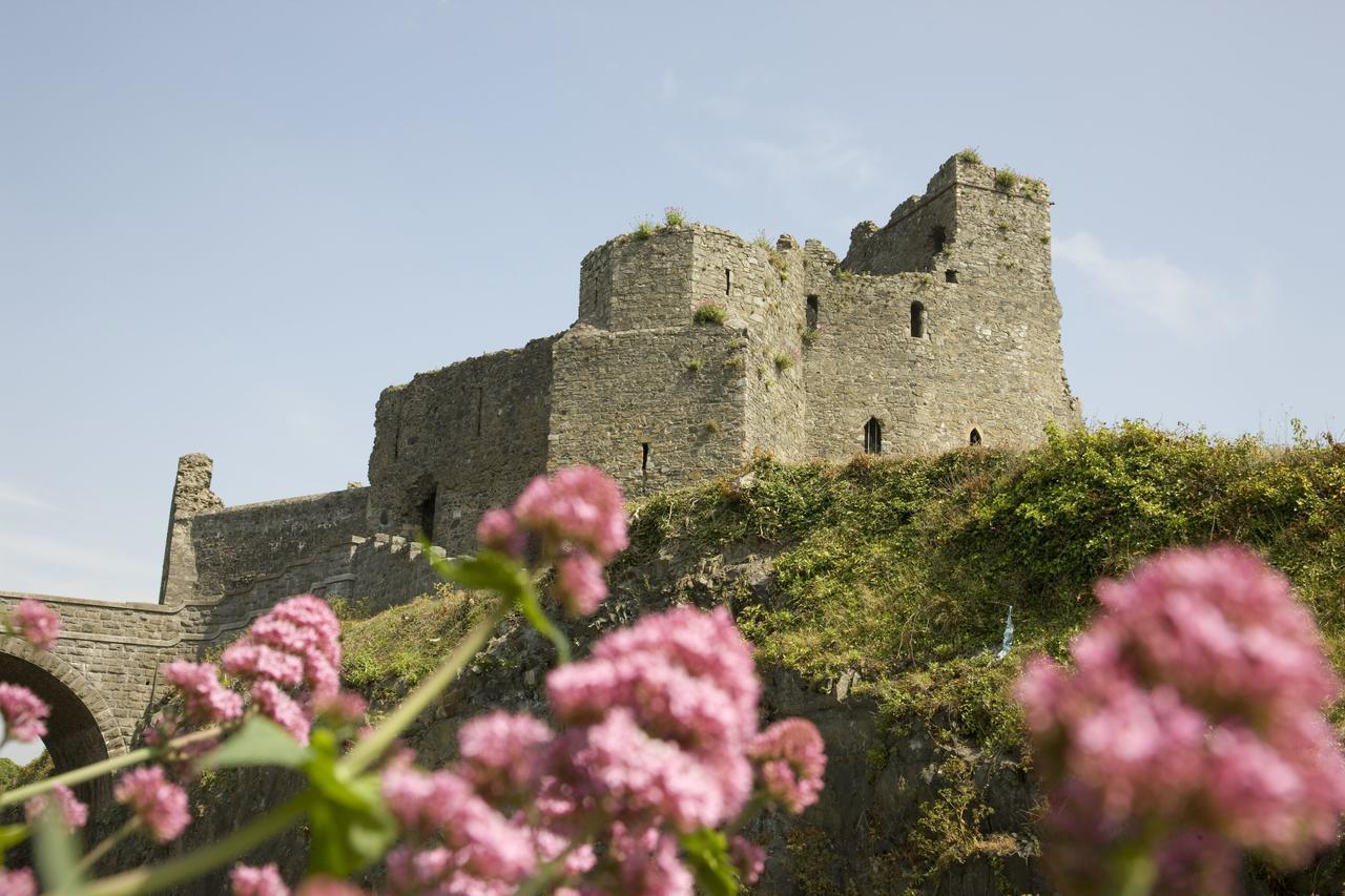 Four Seasons Hotel, Carlingford Exteriér fotografie
